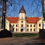 Tarnobrzeg-Dzików - Zamek