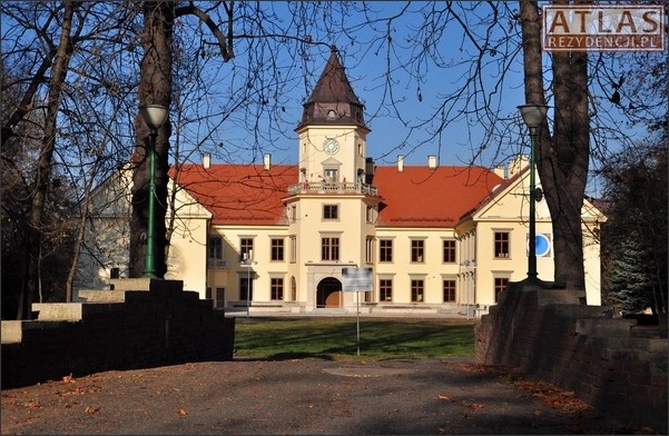 Tarnobrzeg-Dzików - Zamek